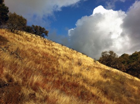 Sunlight breaks through clouds to illuminate hillside